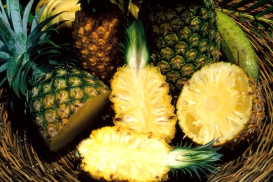 Array of juicy pineapples in a woven basket in Townsville 1986