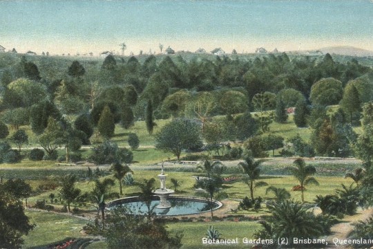 Botanical Gardens in Brisbane towards the southeast ca 1906