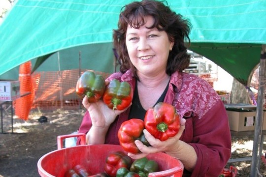 Capsicum Festival, Gumlu, 2004