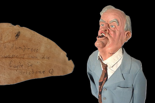 Collection Curiosities