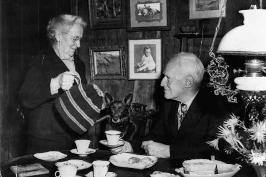 A black and white photograph of table laid out with tea items. A dog is sitting on a dining chair and a tea cup is held in front of him. 