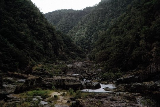 Down at the base of the Barron Gorge, Queensland, 1966