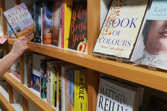 Library Shop fiction bookshelf