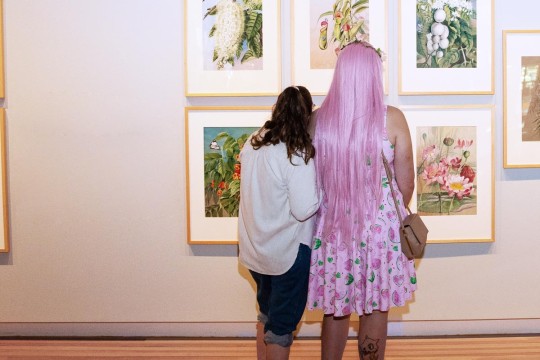 Two visitors viewing the botanical illustrations in the Entwined exhibition 
