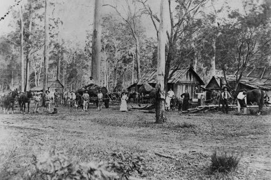 Simpson family home at Coochin Creek Queensland ca1890