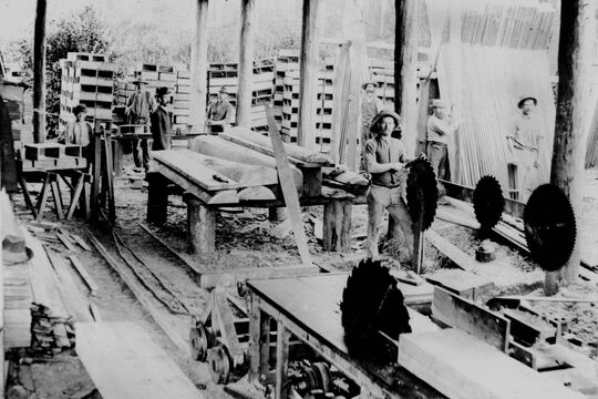 Workers at Sawmill in Nerang circa 1896