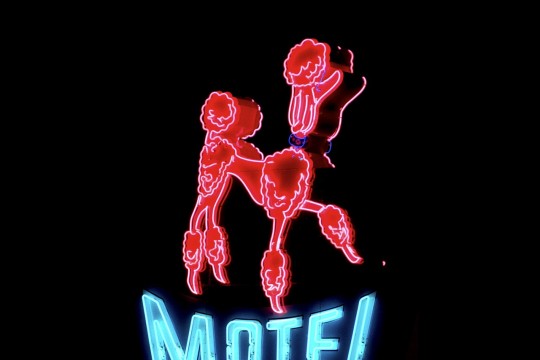 Neon sign for the Pink Poodle Motel, Gold Coast. The poodle is pink and the word, 'Motel' in blue neon.