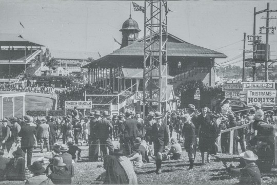 Men, women and children on the hill beside the grandstand at the Royal National Show, Bowen Hills, 1935-1940.