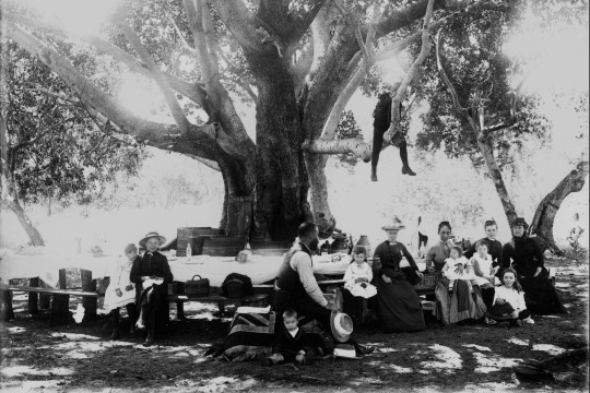 Group of people sitting at tables under a tree having a picnic