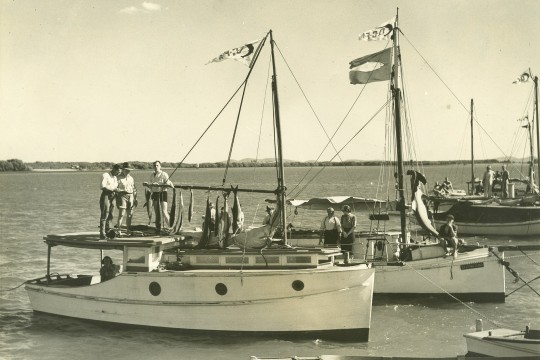 Men standing with their fishing catches on boats