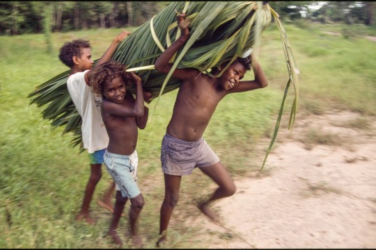 Boys carrying a bundle of cabbage palm leaves in Kownayama community 