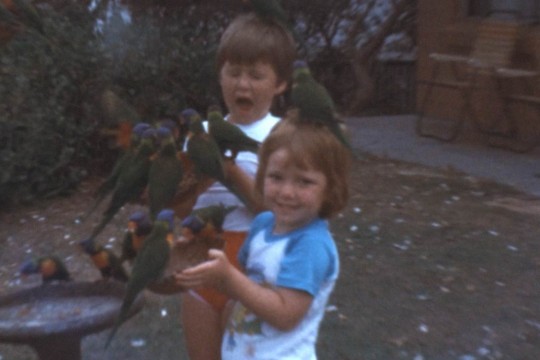 Still from Robert Stewart home movies of children and lorikeets