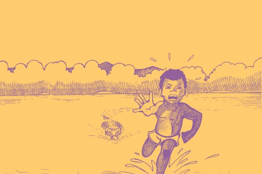 Digitally adapted from an illustration in the The crocodile