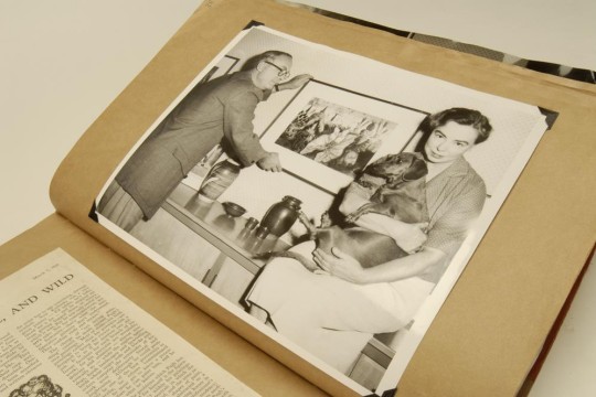 Johnstone Gallery Archive Thumbnail