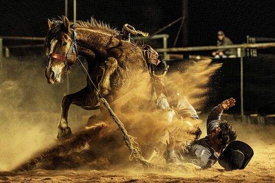 Birdsville Rodeo