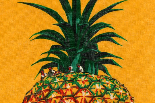 Crop of tourist tea towel featuring the Big Pineapple on an orange background 