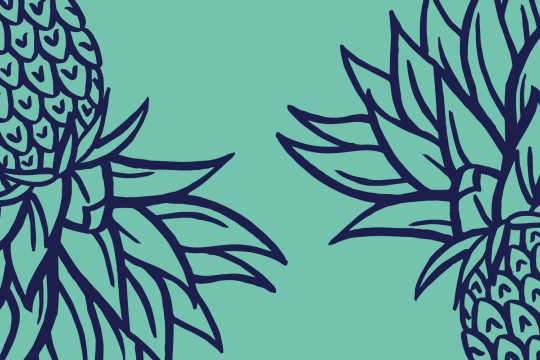 Queensland Literary Awards 2020 pineapple logo