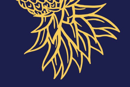 Queensland Literary Awards logo