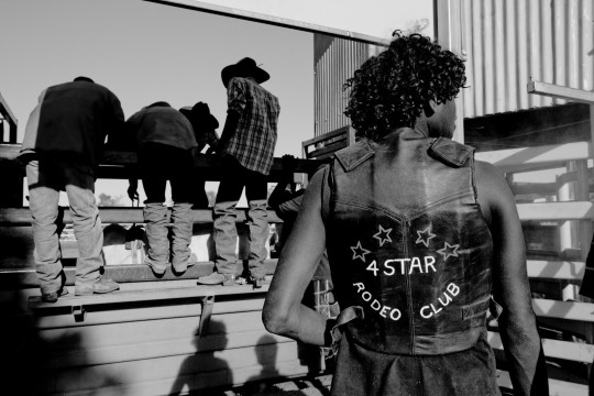 Rodeo rider getting ready to mount bull, Doomadgee, Queensland, ca. 2008-2014