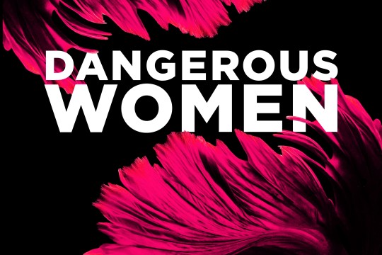 Dangerous Women visual identity text and pink feathers