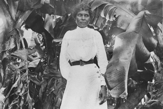 South Sea Islander woman at Farnborough, ca 1895. Negative number 3680