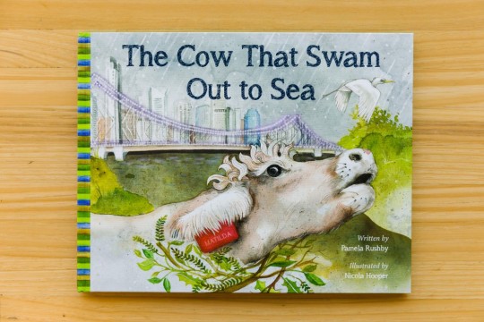 The cow that swam out to sea
