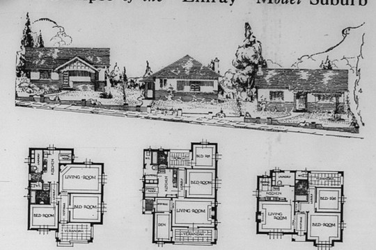 Advertisement for the "Linray" model suburb - sketch of three houses and three house plans.