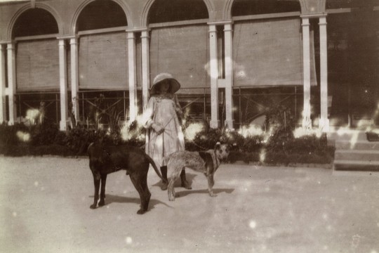  Joan Thesiper daughter of Governor Chelmsford pictured with her dogs in the grounds of Government House Brisbane 1907