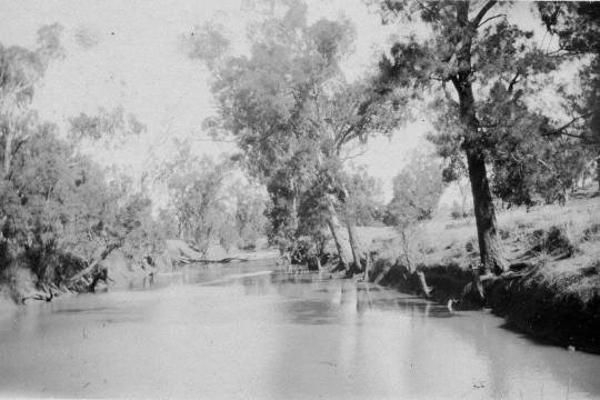 Nogoa River views Emerald 1926
