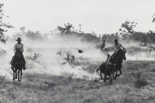 https://collections.slq.qld.gov.au/viewer/IE3278255