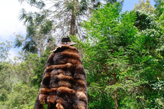 Wiruungga Dunggiirr wearing a cloak completed at the Wiruungga Community possum skin cloak workshop, 2016, Conondale, QLD. Photo by Glenn Barry