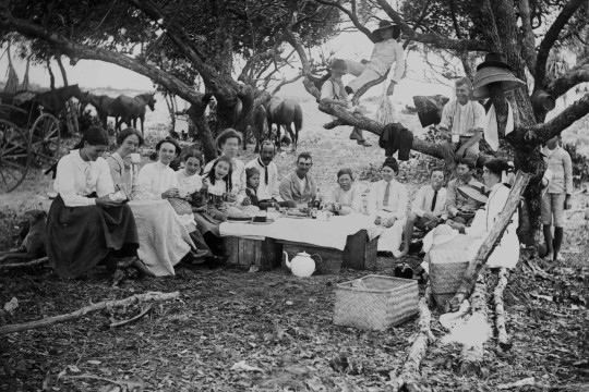 Large family group sitting around a picnic with 3 people in a tree behind 1900-1910