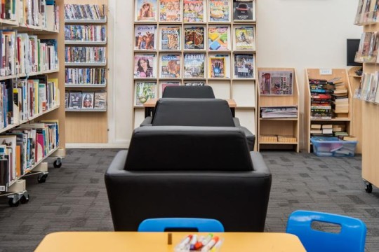 Image of library shelves