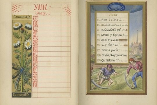 The illuminated calendar Thumbnail