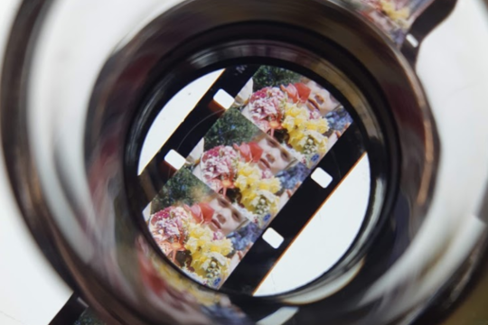 Assessing film content for digitisation