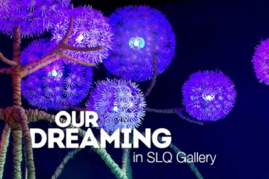 Our Dreaming in slq Gallery 