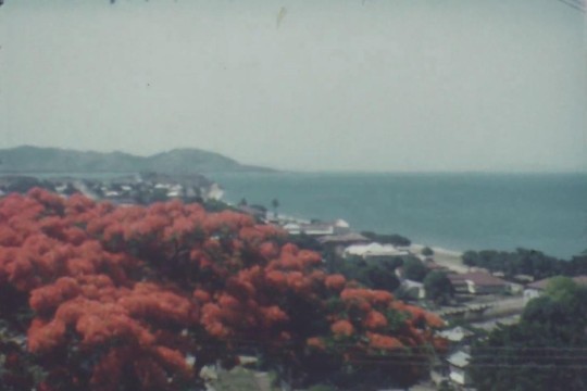 View of Townsville 1954
