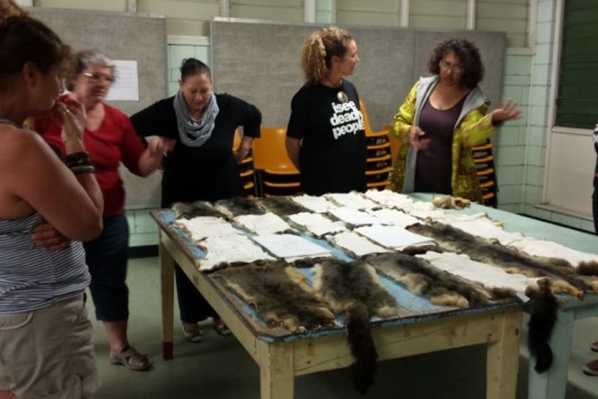 Kim Tilley, Leisha Krause, Aunty Boni Robertson, Carol McGregor, Shelly Monkland and Bianca Beetson at the Gubbi Gubbi/ Kabi Kabi workshop, Kenilworth, November 2015. Photo by kuril dhagun.