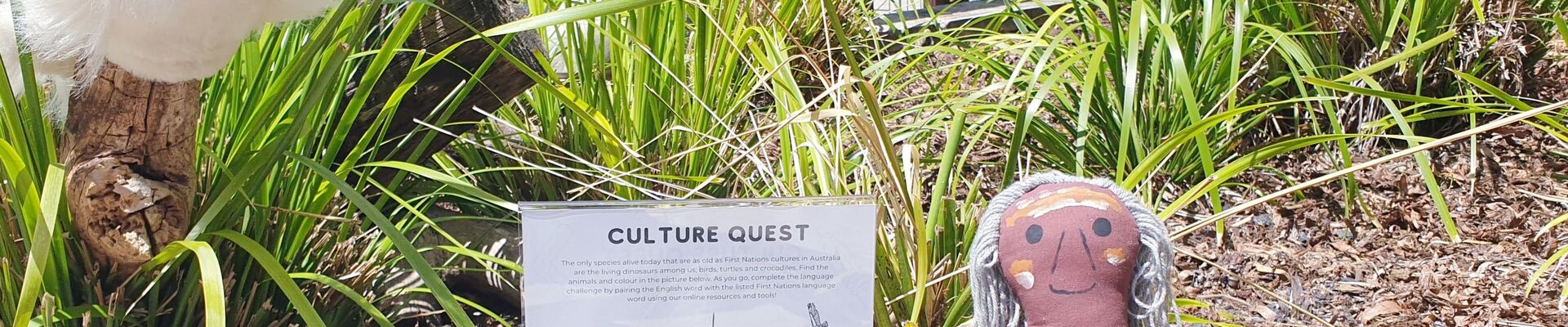 Keep Indigenous languages alive, join the culture quest online. Culture Quest Online