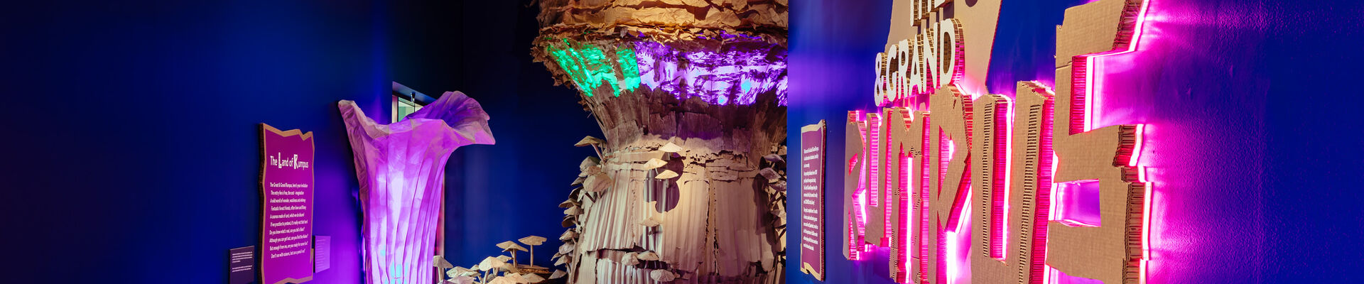 Entry of The Great Grand Rumpus In the background is a large colourful mushroom made out of cardboard