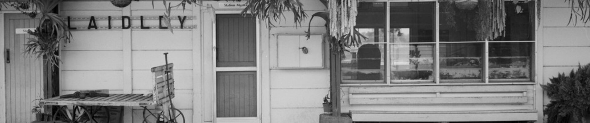 Photograph of the station building at Laidley in 1994 with hanging plants, staghorns and a parcel trolley. Hanging plants staghorns and a parcel trolley on station platform
