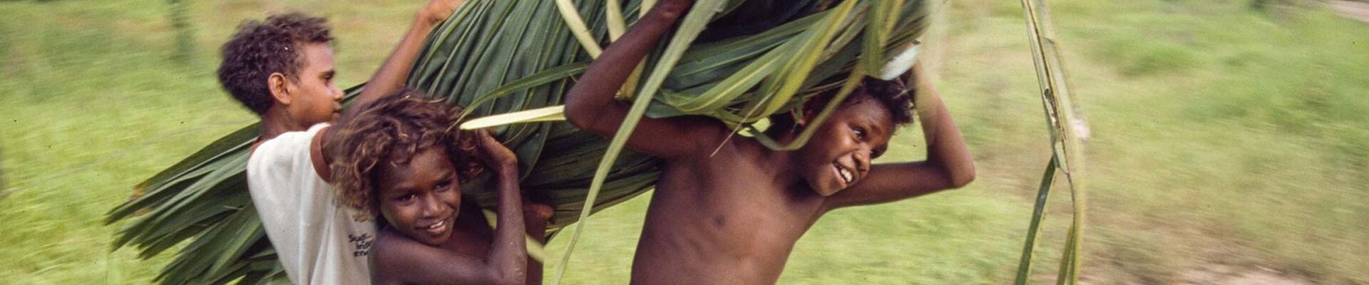 Boys carrying a bundle cabbage palm leaves