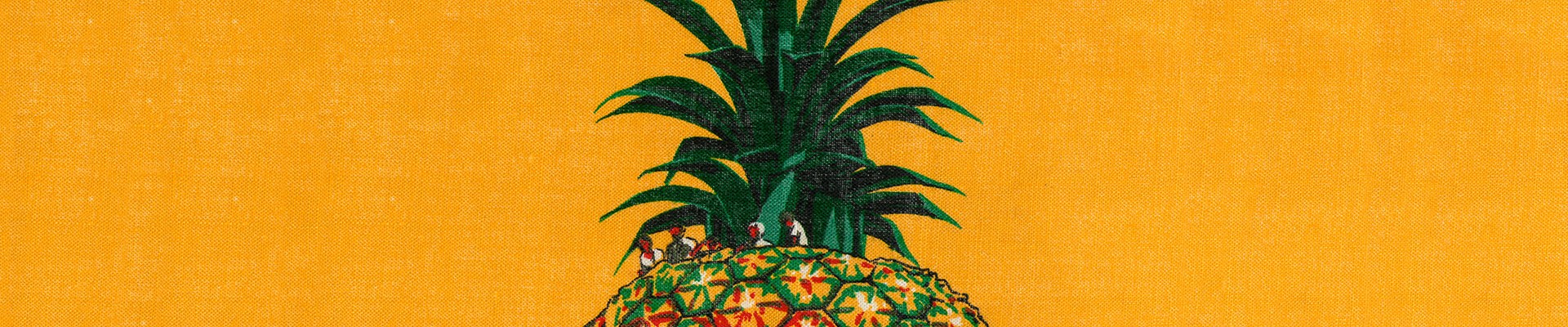 Crop of tourist tea towel featuring the Big Pineapple on an orange background 