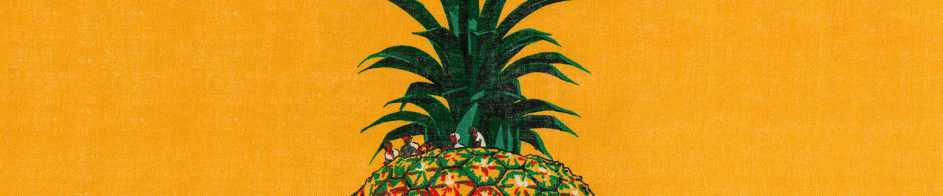 Crop of tourist tea towel featuring the Big Pineapple on an orange background