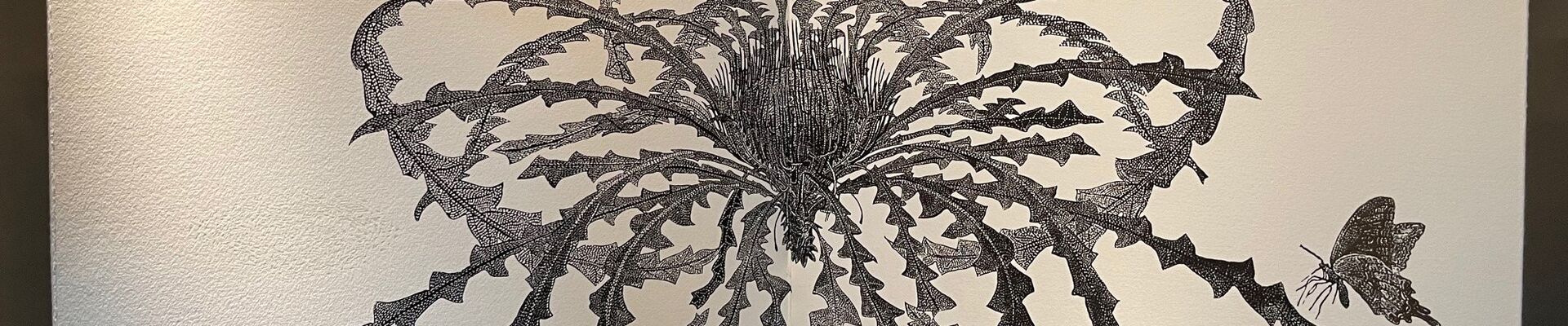Precious renewal 2017 Fianne Fogwell Australian Library of Art State Library of Queensland