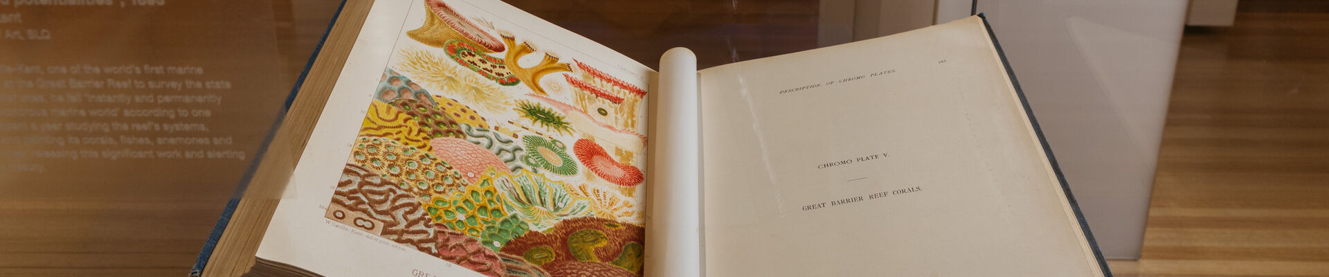 Preserved book in the Islands exhibition at the State Library of Queensland. Photo by Josef Ruckli. Preserved book in the Islands exhibition at the State Library of Queensland Photo by Josef Ruckli