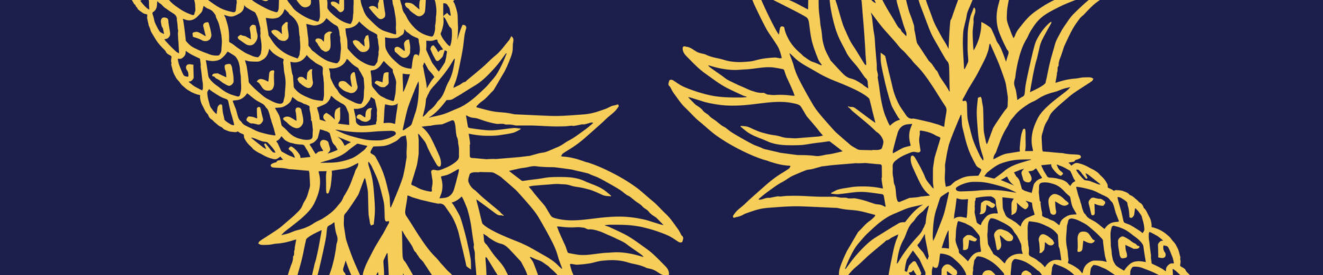Queensland Literary Awards 2021 branding of pineapples