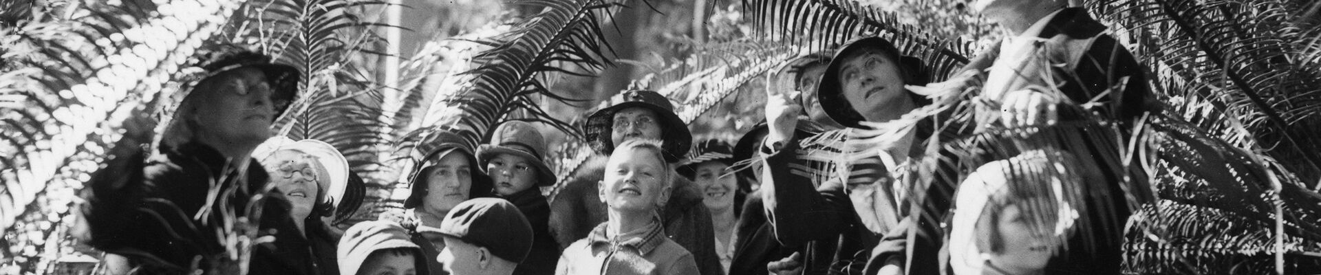School excursion on Mount Tamborine, 1935 children and adults outside gazing through foliage
