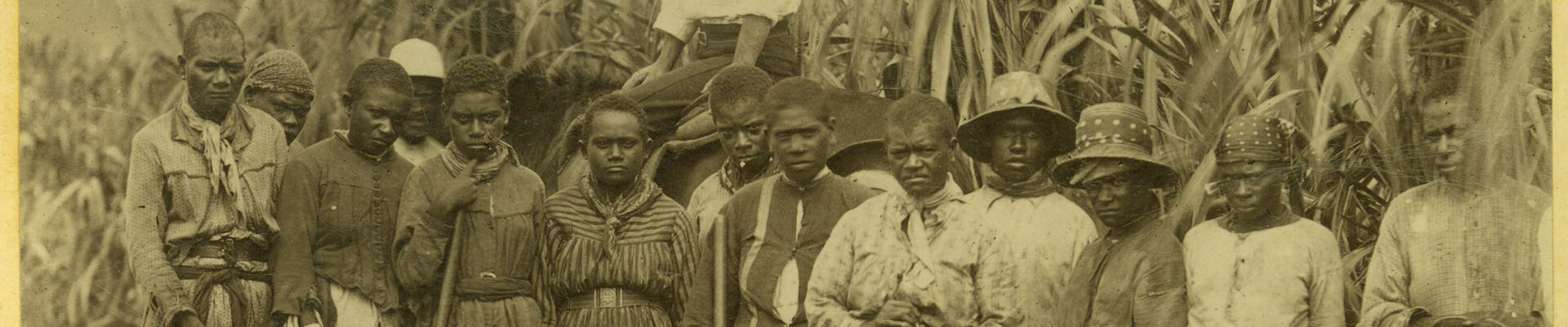 Group of South Sea Islander workers on a property in Cairns Group of South Sea Islander workers on a property in Cairns