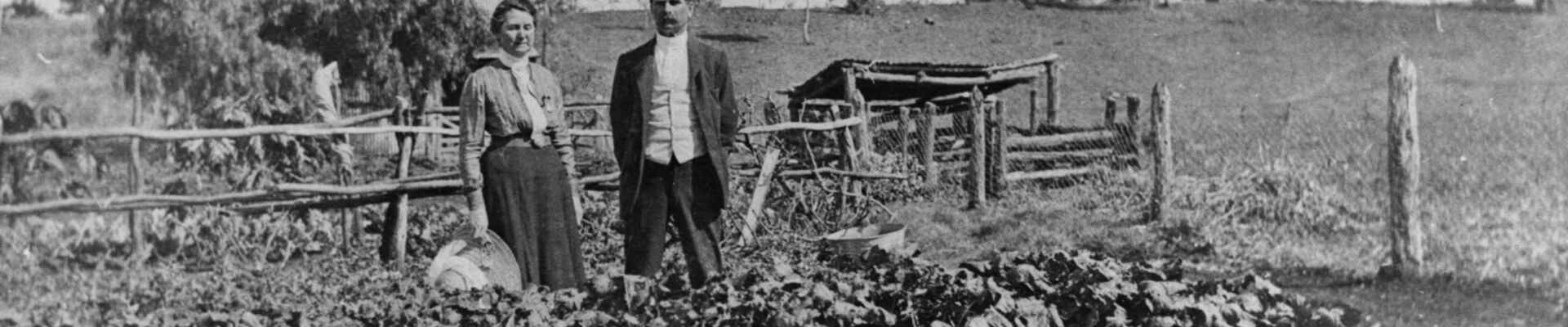 Couple standing in a vegetable garden on Isis Downs Station, ca. 1917 An image of two people in a field